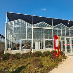 信陽紅安苕業玻璃溫室大棚