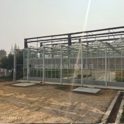 泰州華農玻璃溫室大棚