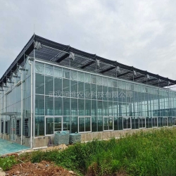 信陽省農科院玻璃溫室大棚
